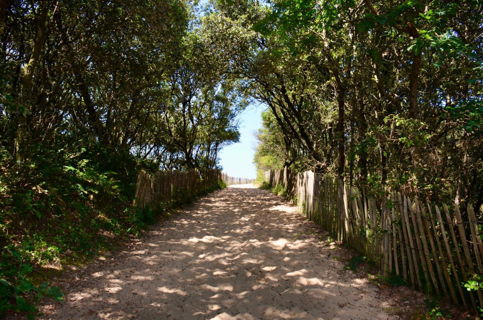Camping Le Clos Des Pins Longeville-sur-Mer Eksteriør billede